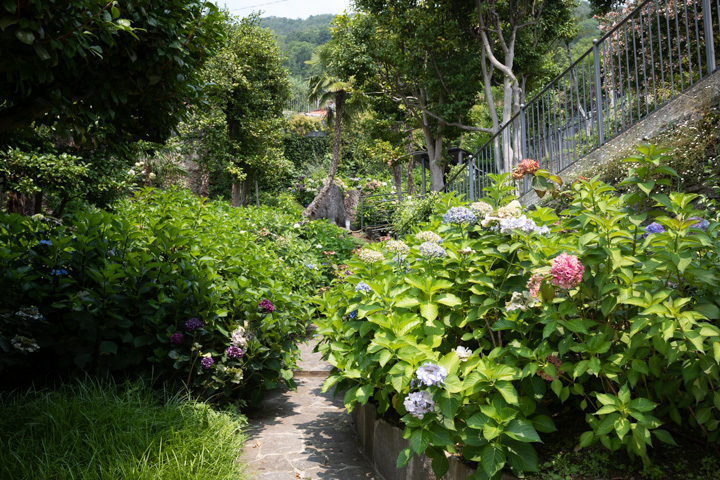 Villa Paradiso